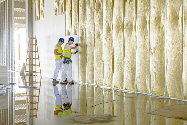 Types of Insulation We Offer in Berkley, CO